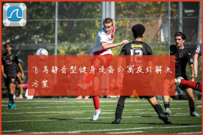 飞鸟静音型健身设备公寓友好解决方案