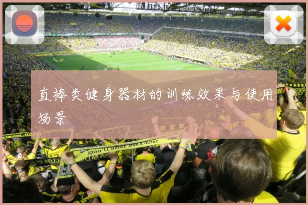 直棒类健身器材的训练效果与使用场景