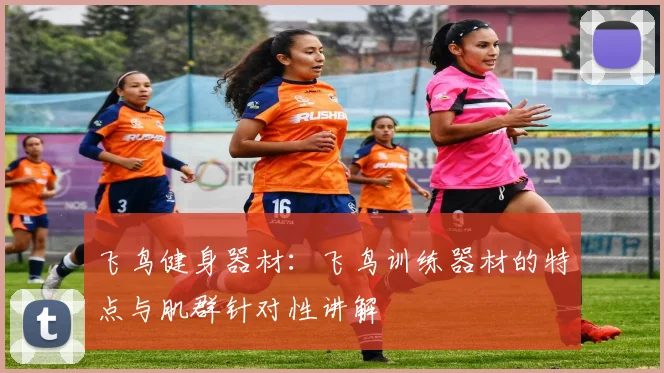 飞鸟健身器材:飞鸟训练器材的特点与肌群针对性讲解