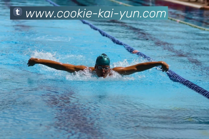 开云平台生态图