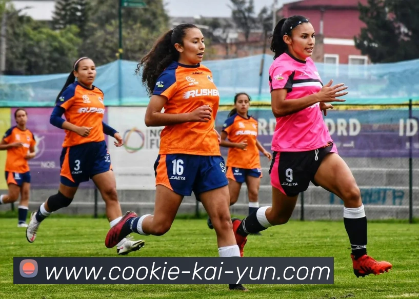 App Interface Preview