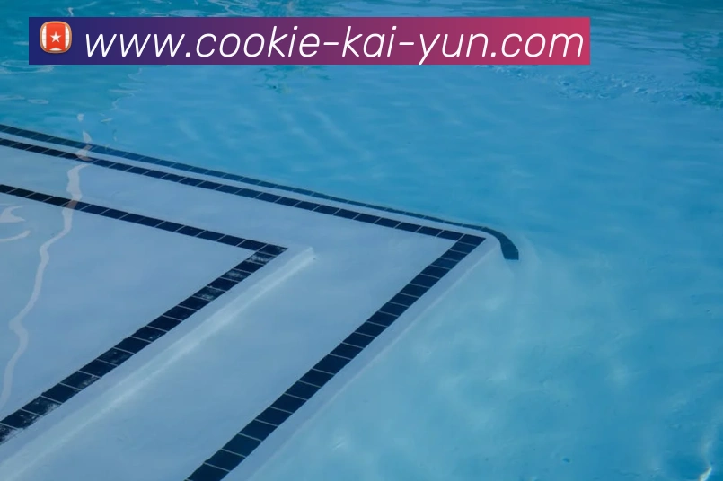 开云全站App 开云全站App